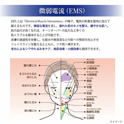 EMSフェイシャルマッサージャー – 最先端テクノロジーで肌を若返らせましょう！